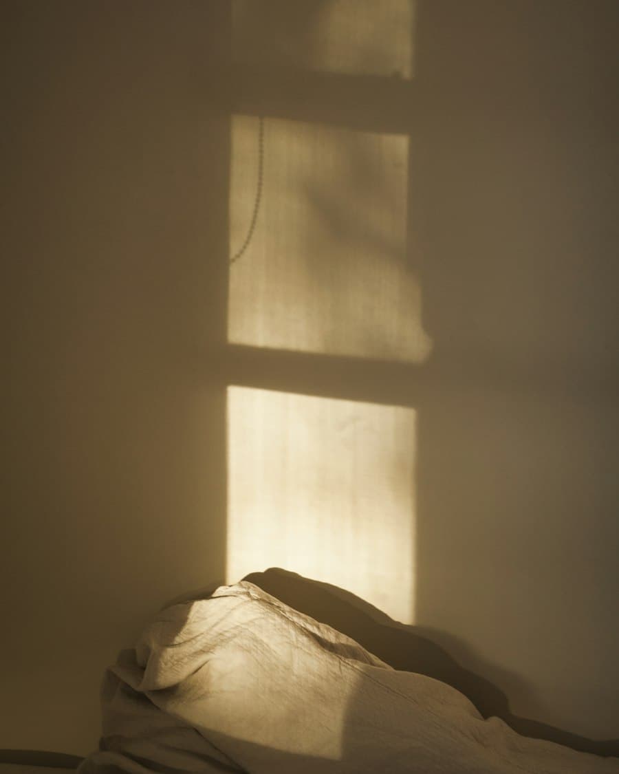 Morning light falling across a quiet wall